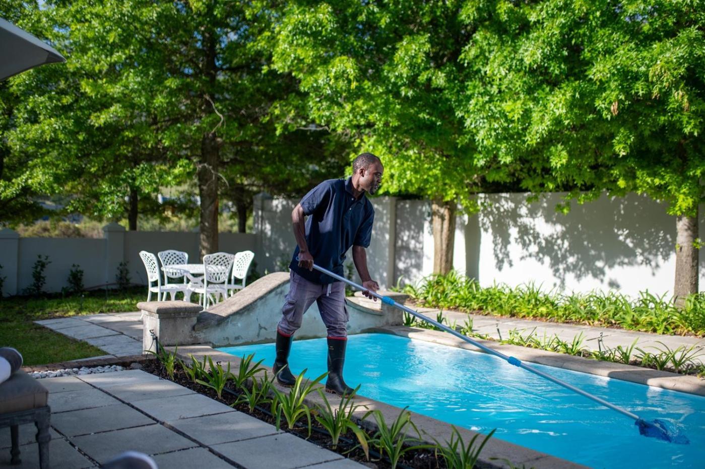 Maison D'Ail Guest House Franschhoek Dış mekan fotoğraf