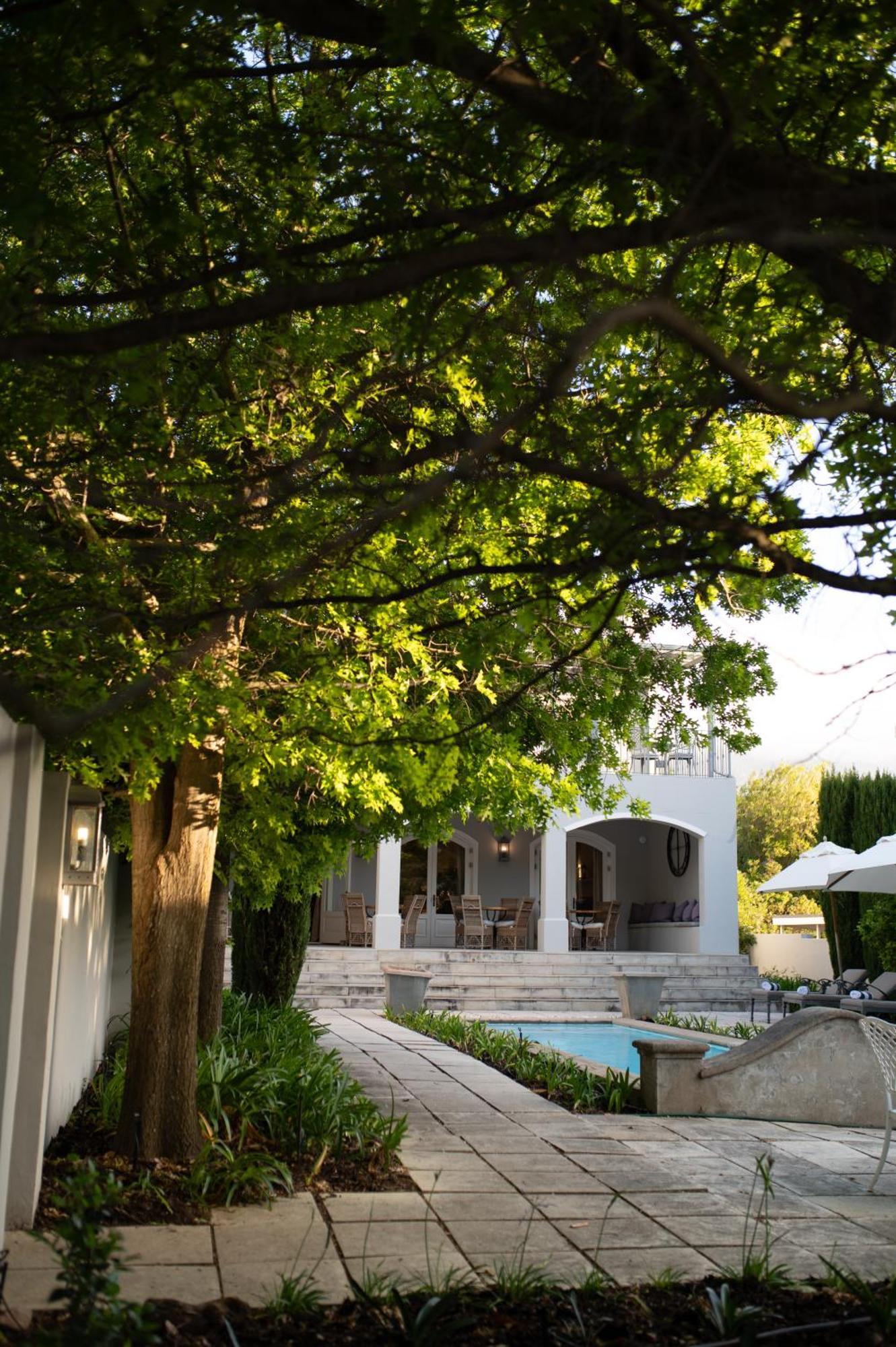 Maison D'Ail Guest House Franschhoek Dış mekan fotoğraf